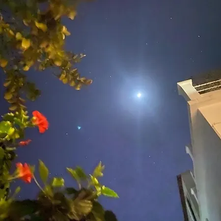 Arruda's House 홈스테이