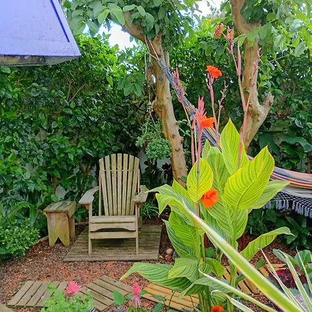 Séjour chez l'habitant Arruda's House Ponta Delgada