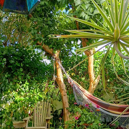 Homestay Arruda's House