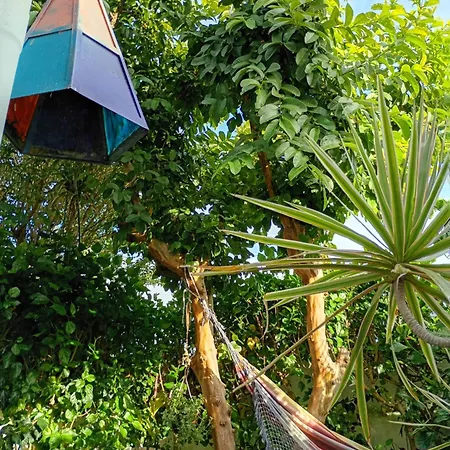 Homestay Arruda's House *