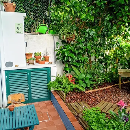 Arruda's House Séjour chez l'habitant Ponta Delgada