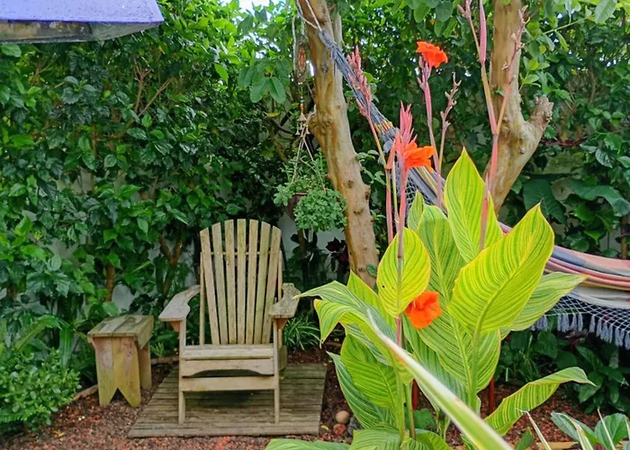 Homestay Arruda's House Ponta Delgada (Sao Miguel)