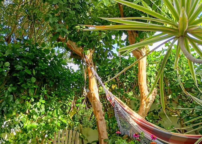 Privatunterkunft Arruda's House