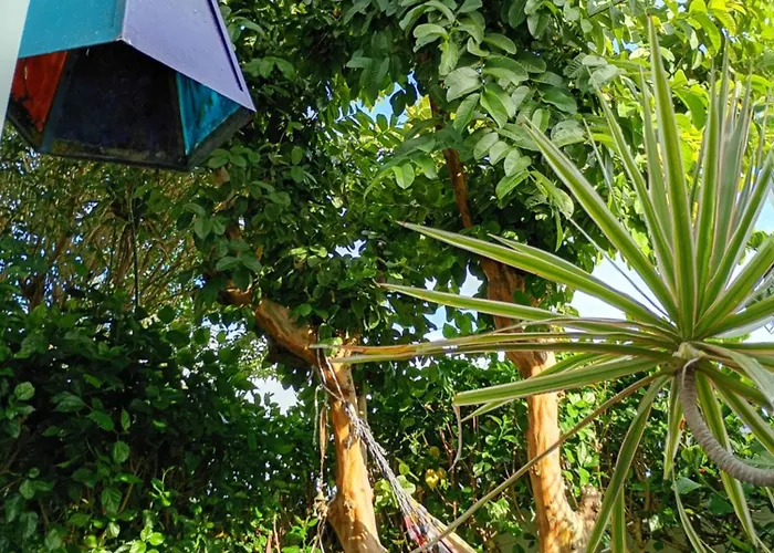 Homestay Arruda's House *